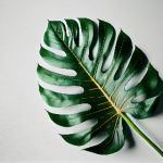 日本动漫在线观看 jr29u